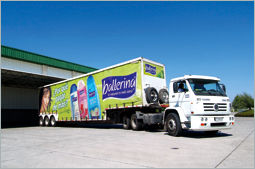 Descripción: historia a